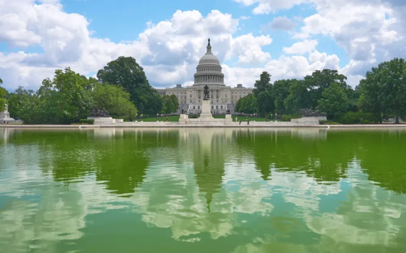 What if Republicans lose both House and Senate?