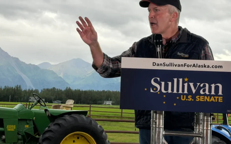 Alaska Democrats Run Own Candidate After Failing to Beat Sullivan