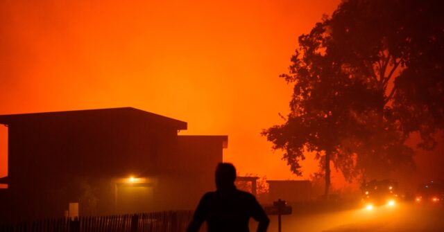 Migrant With Deportation Order Charged in France Wildfire Looting