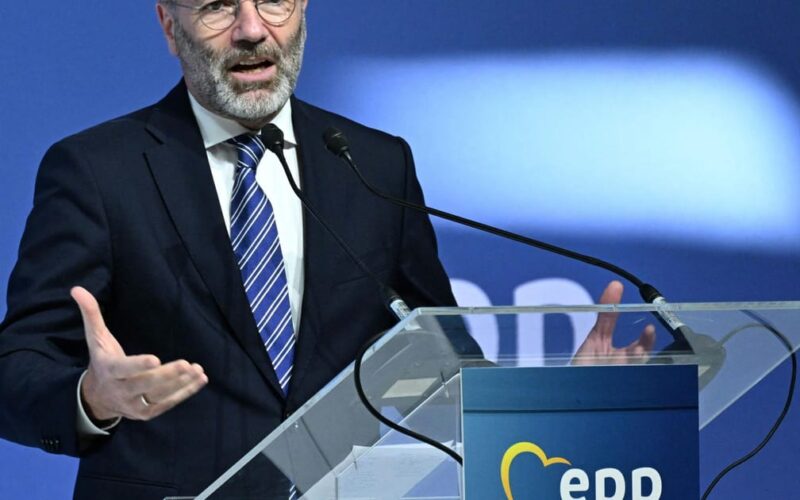 EU Conservative Chief Demands Migrant Return Hubs in Africa