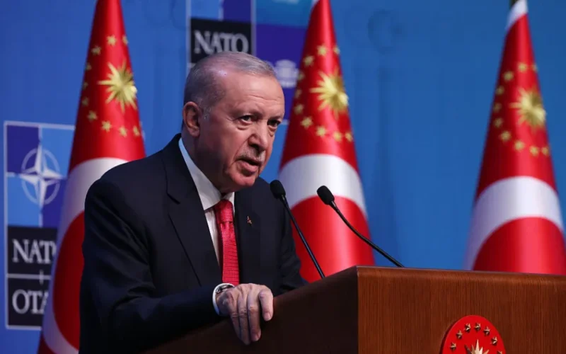 Turkish Comic Mocking Erdogan Rearrested Hours After Release