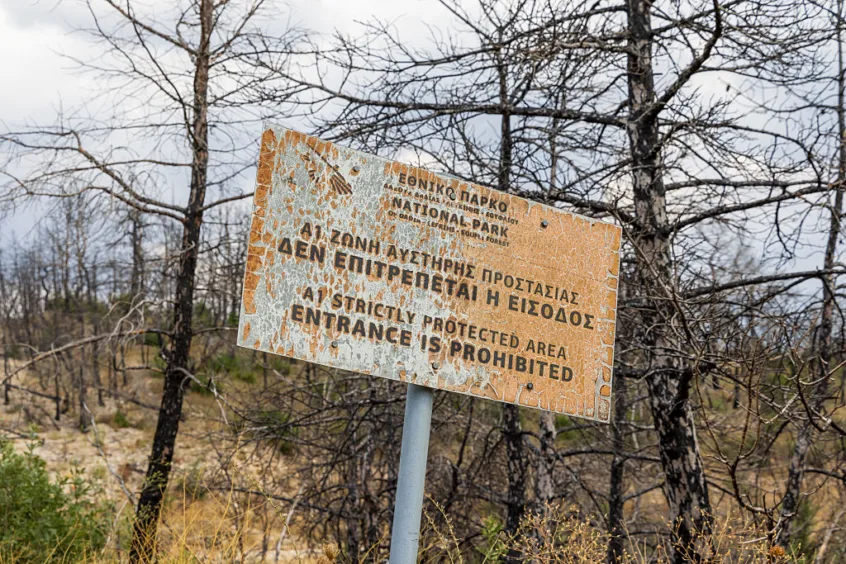 Greece Arrests 281 for Fire Offences This Year