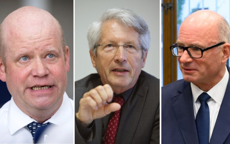 May 51 Judges Label AfD as Unconstitutional?