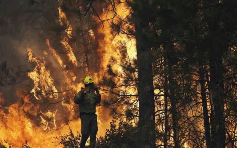 Oakland Fined Couple $915K for Fire Prevention, 18 Times Arson Penalty