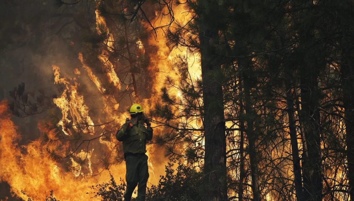 Oakland Fined Couple $915K for Fire Prevention, 18 Times Arson Penalty