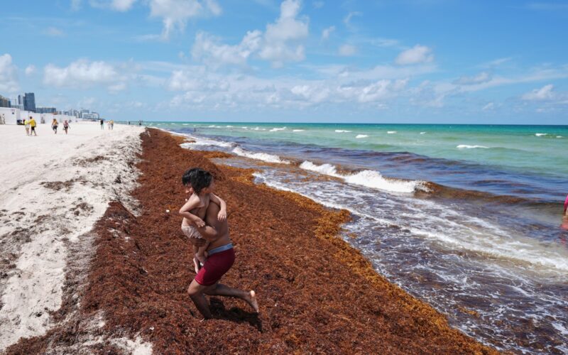 Ocean Temperatures Shatter Records as El Nino Strengthens