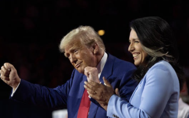 Tulsi Gabbard: Political farewell from Petros Tasios – Until we meet again!