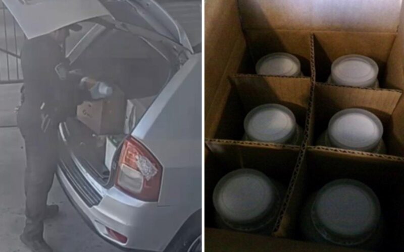 Smuggler Caught at Border with Cancer-Causing Chemicals