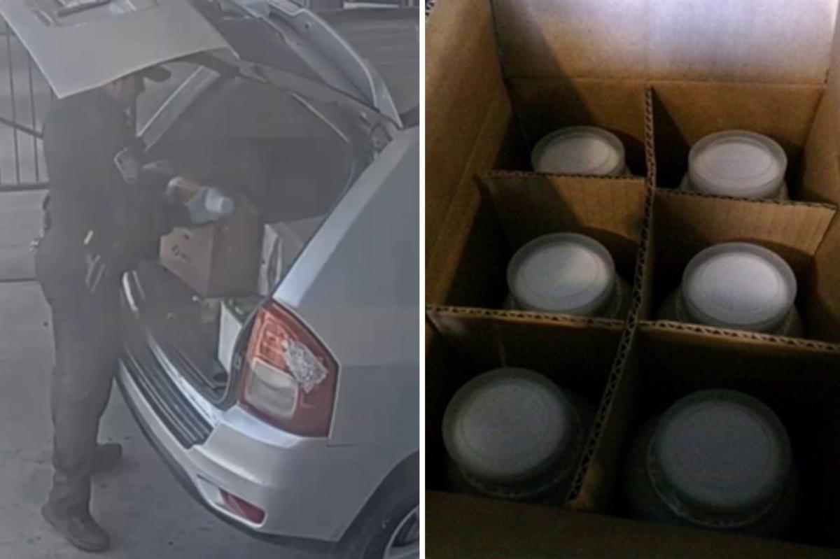 Smuggler Caught at Border with Cancer-Causing Chemicals