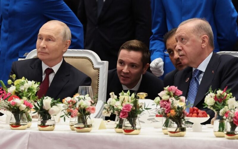 Erdogan, Putin Discuss Nuclear Energy Cooperation