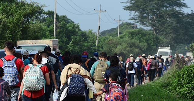 Foreign-Born Population Drops 2.9M Under Trump Crackdown