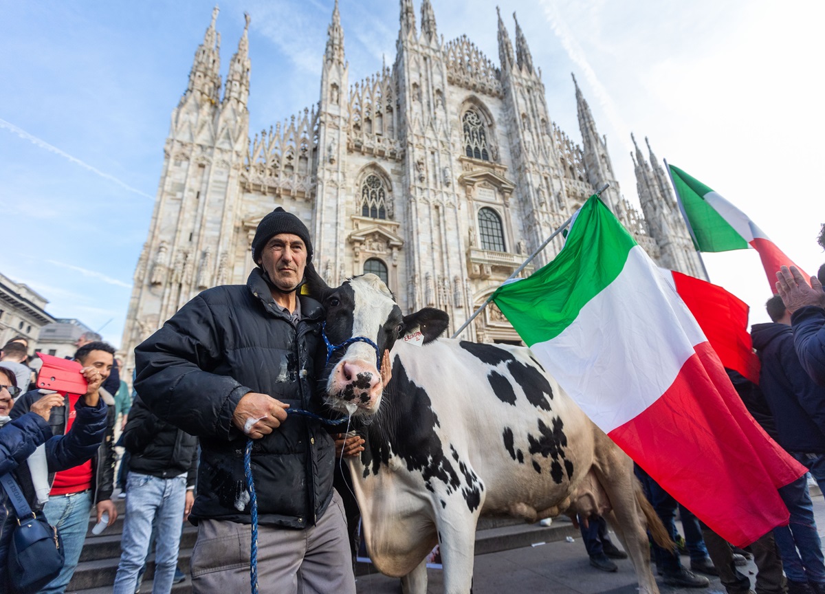 Στο Μιλάνο, την οικονομική πρωτεύουσα της Ιταλίας, μια μικρή ομάδα αγροτών πήρε μια αγελάδα για να διαμαρτυρηθεί έξω από τα γραφεία της περιφερειακής κυβέρνησης της Λομβαρδίας, ένα αταίριαστο θέαμα σε ένα τμήμα της πόλης που κυριαρχείται από σύγχρονα πολυώροφα κτίρια.