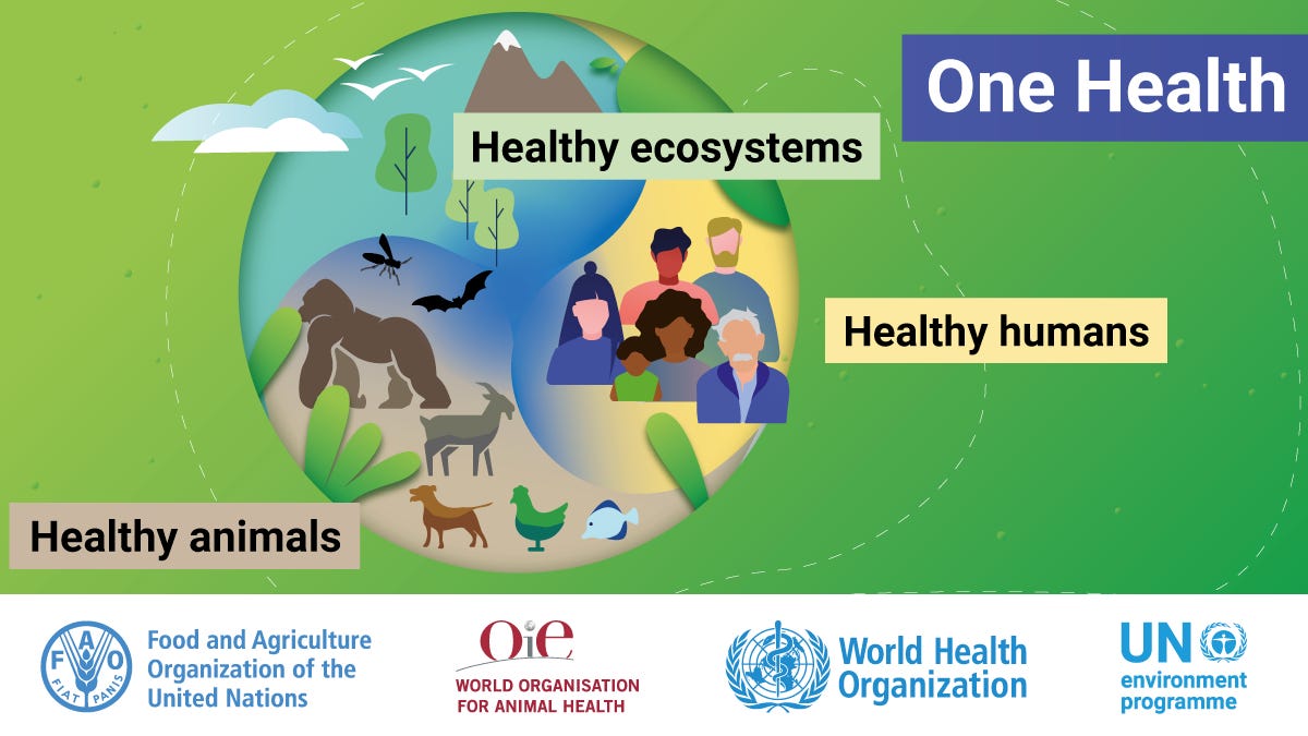 Joint tripartite and UNEP statement on definition of “One Health”