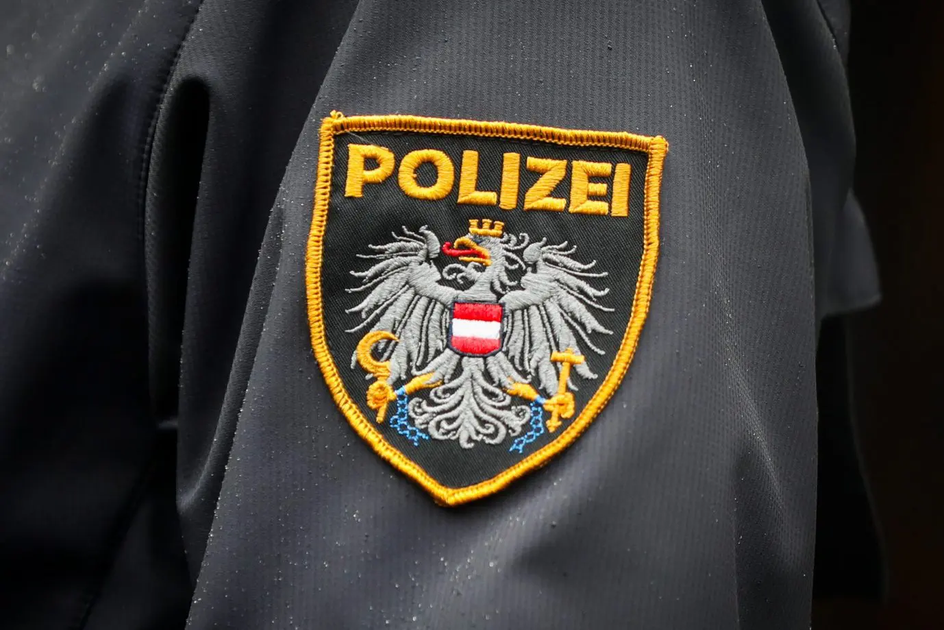 Austria: Syrian refugee with criminal record accused of raping 16-year-old and filming crime
