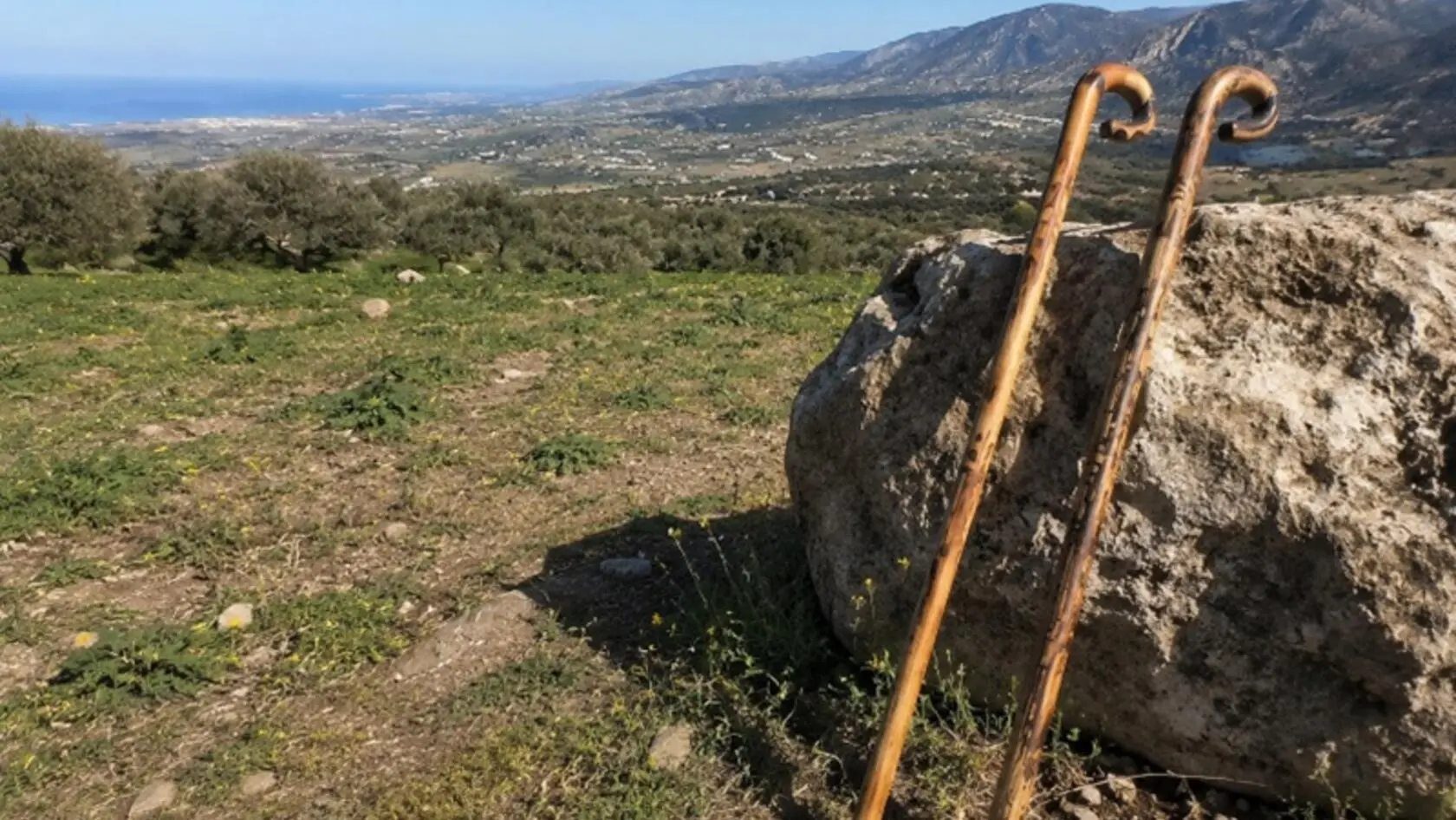 Επίθεση με κατσούνες σε μηχανικούς που πήγαν να μετρήσουν έκταση Κατσούνες